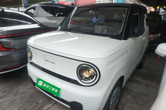 吉利银河 2024款 熊猫mini 200km 耐力熊