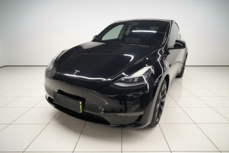 特斯拉 Model Y 2021款 标准续航后驱版
