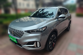 魏牌 VV6 2021款 2.0T 两驱智护+