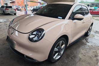 欧拉好猫 2023款 401km标准续航 豪华型 磷酸铁锂