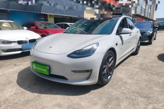 特斯拉 Model 3 2021款 Performance高性能全轮驱动版