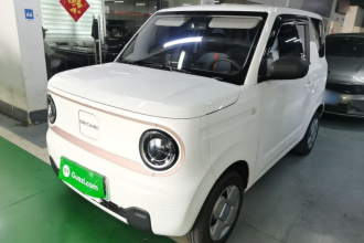 吉利银河 2024款 熊猫mini 200km 耐力熊