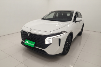 启辰大V 2021款 260T 爱豆版