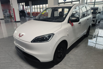 五菱汽车 五菱宏光新能源 2024款 纯电版 300KM 标准型