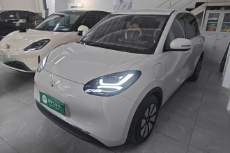 五菱汽车 五菱缤果 2023款 333km 悦享+款
