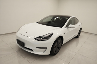 特斯拉 Model 3 2020款 改款 长续航后轮驱动版