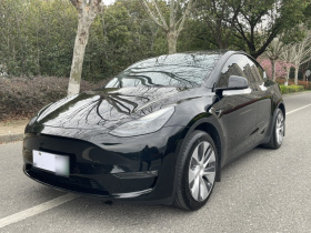 特斯拉 Model Y 2022款 长续航全轮驱动版