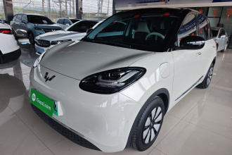 五菱汽车 五菱缤果 2023款 333km 灵犀互联+款
