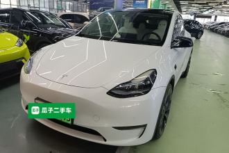 特斯拉 Model Y 2022款 Performance高性能全轮驱动版