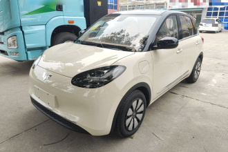 五菱汽车 五菱缤果 2025款 333km 悦享款