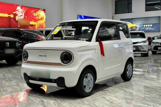 吉利银河 2024款 熊猫mini 200km 耐力熊