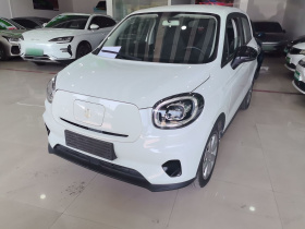 零跑汽车 零跑T03 2022款 玛瑙版