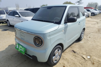 吉利银河 2023款 熊猫mini 200km 耐力熊