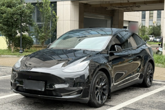 特斯拉 Model Y 2021款 长续航全轮驱动版 3D7