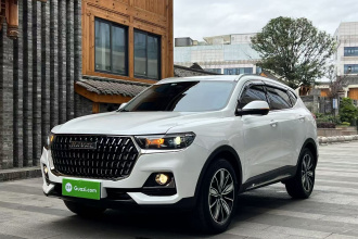 哈弗H6 2023款 国潮版 1.5T 自动冠军版