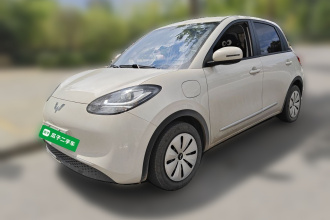 五菱汽车 五菱缤果 2024款 203km 轻享款