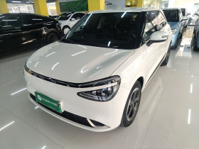 东风纳米 纳米01 2024款 430 Plus智+