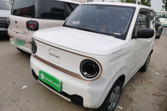 吉利银河 2024款 熊猫mini 200km 耐力熊