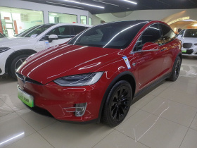 特斯拉 Model X 2019款 长续航版