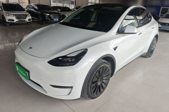 特斯拉 Model Y 2021款 长续航全轮驱动版 3D7