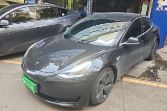 特斯拉 Model 3 2020款 改款 标准续航后驱升级版