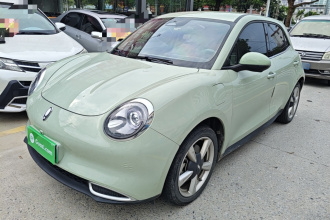 欧拉好猫 2023款 401km标准续航 豪华型 三元锂