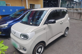 五菱汽车 宏光MINIEV 2024款 第三代 215km 青春版
