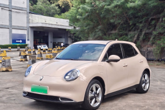 欧拉好猫 2023款 401km标准续航 尊贵型 三元锂