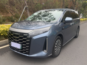 比亚迪 夏 2025款 DM-i 1.5T 180km 超越型