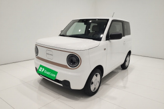 吉利银河 2024款 熊猫mini 200km 耐力熊