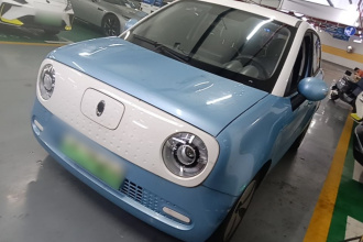 欧拉黑猫 2021款 301km 基础型