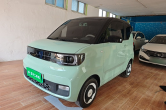 五菱汽车 宏光MINIEV 2022款 马卡龙臻享款 磷酸铁锂