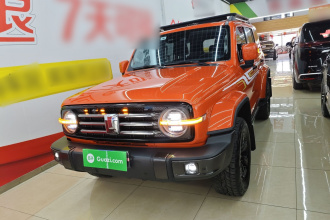 坦克300 2021款 城市版 2.0T 很有型