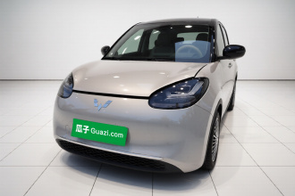 五菱汽车 五菱缤果 2023款 410km 灵犀尊享款