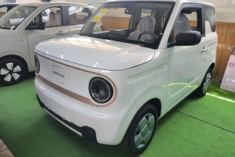 吉利银河 2024款 熊猫mini 200km 耐力熊