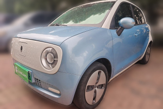 欧拉黑猫 2021款 301km 基础型