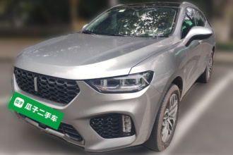魏牌 VV5 2019款 升级款 2.0T 两驱超豪型 国VI