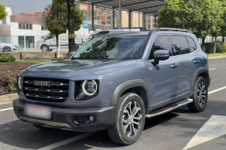 哈弗大狗 2021款 1.5T DCT两驱边牧版