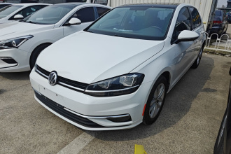 大众 高尔夫 2018款 230TSI 自动舒适型