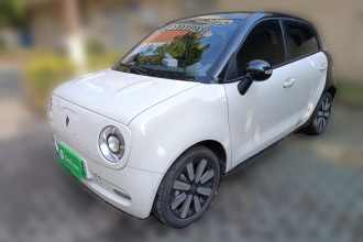 欧拉黑猫 2019款 351km 亲子版