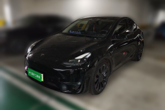 特斯拉 Model Y 2021款 Performance高性能全轮驱动版