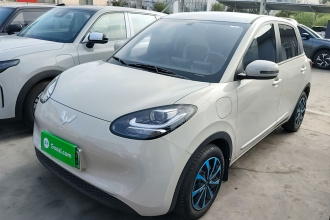 五菱汽车 五菱缤果 2024款 203km 轻享款