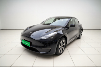 特斯拉 Model Y 2021款 长续航全轮驱动版
