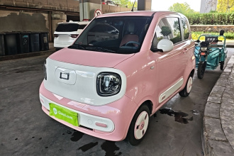 奔腾小马 2024款 170km 活力马