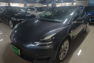特斯拉 Model 3(进口) 2019款 长续航后驱版