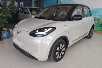 五菱汽车 五菱缤果 2025款 333km 悦享款