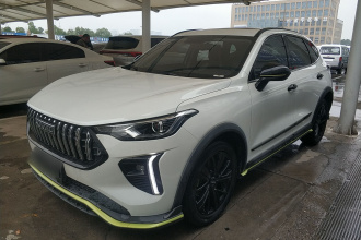 哈弗赤兔 2021款 激擎版 1.5T 白银兔