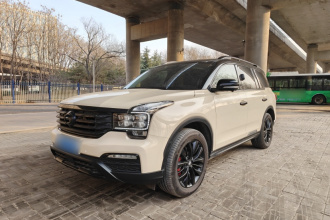 广汽传祺 传祺GS8 2019款 390T 两驱豪华智联版（七座）