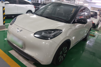 五菱汽车 五菱缤果 2023款 333km 灵犀互联款