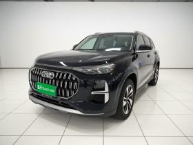 奥迪Q6 2024款 40 TFSI quattro 观云型 羽林套装 7座